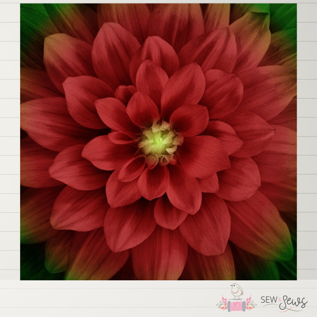 Dream Big Fabric Panel – Scarlet