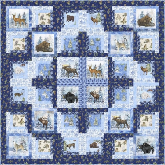 Winterhaven Quilt Kit  61” x 61”