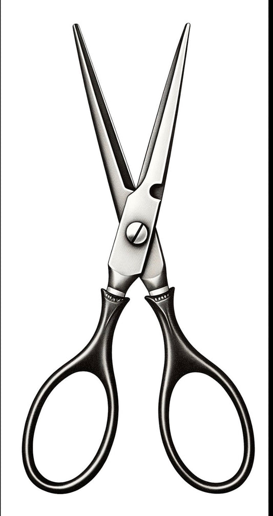 Scissor Sharpener | March 19, 2026 | 10am -2pm